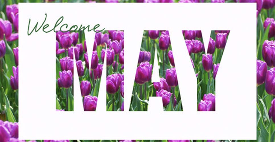 May Happenings
